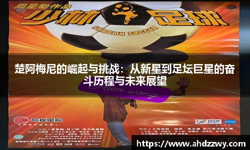 yy易游体育